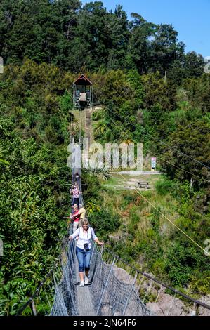 Traffico a due vie mentre i visitatori attraversano il ponte sospeso più lungo della Nuova Zelanda, sopra il fiume Buller, presso il Buller Gorge Adventure & Heritage Park vicino a Murchi Foto Stock