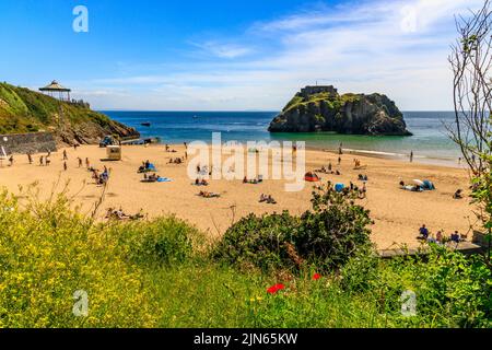 St Catherine's Island e Fort e la spiaggia protetta del castello a Tenby, Pembrokeshire, Galles, Regno Unito Foto Stock
