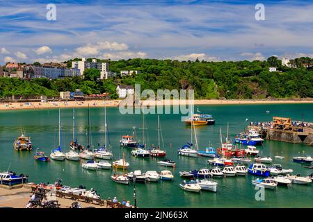 Si affaccia sul pittoresco porto protetto, verso North Beach e Goscar Rock a Tenby, Pembrokeshire, Galles, Regno Unito Foto Stock