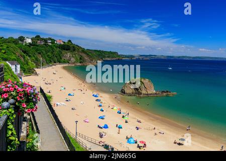 La spiaggia sabbiosa di North Beach con l'imponente Goscar Rock a Tenby, Pembrokeshire, Galles, Regno Unito Foto Stock