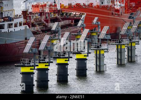 Petroleumhaven, le petroliere in attesa di nuovi carichi nel porto di Europoort, le linee di ormeggio come i cosiddetti delfini digitali, alimentati dal fotovoltaico, danno Foto Stock