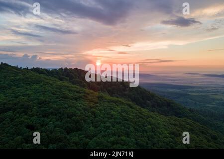 Vista aerea della pineta verde con abeti scuri che coprono le colline di montagna al tramonto. Paesaggio boschivo del nord dall'alto Foto Stock