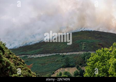 Wildfire sul Llantysilio colline vicino a ferro di cavallo passano sopra Llangollen nel Galles del Nord, provocato dalla calura temperature Foto Stock