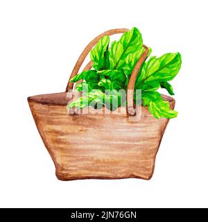 Borsa in vimini con lattuga e barbabietole. Acquerello disegnato a mano su sfondo bianco. Design per poster, banner, cartoline, inviti, tessuti. Foto Stock