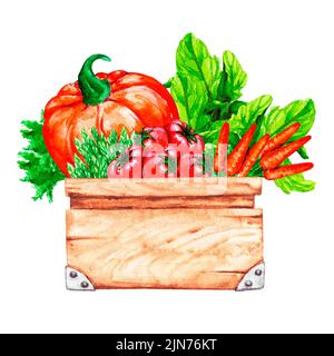 Acquerello verdure ecologiche in una scatola. Raccolta, mercato degli agricoltori, giardinaggio, alimentazione sana. Design per poster, logo, etichette, banner, cartoline, invitati Foto Stock