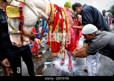 Kolkata, India. 09th ago 2022. Devoto musulmano sciita visto con un santo cavallo durante la processione Muharram di Kolkata. Muharram è il primo mese del calendario islamico & Ashura è il decimo giorno del mese di Muharram in cui si fa la commemorazione del martirio di Imam Hussain, nipote del profeta Muhammad (PBUH), durante la battaglia di Karbala. Fa parte del lutto per i musulmani sciiti e di una giornata di digiuno per i musulmani sunniti che si osserva in tutto il mondo. (Foto di Avishek Das/SOPA Images/Sipa USA) Credit: Sipa USA/Alamy Live News Foto Stock