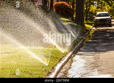 Sprinkler che corrono in un quartiere residenziale con strada ombreggiata con auto parcheggiata in background - fuoco selettivo Foto Stock