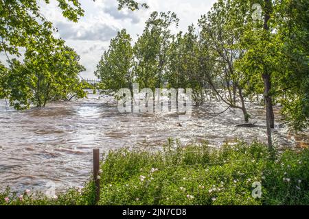 Swollen turbolento e allagato Arkansas fiume come scorre attraverso Tulsa OK con alberi in acqua e parzialmente sommerso log - Elettricità piloni acro Foto Stock