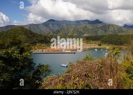 Uno sguardo alla vita in Nuova Zelanda. Radiata Pine appena registrato impilato al porto di Picton, per l'esportazione. Esportazioni di legname. Foto Stock