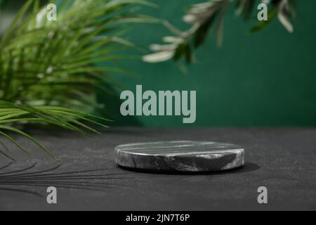 Podio per prodotti cosmetici in composizione moderna con supporto in marmo nero con foglie tropicali su sfondo verde con ombra. Foto Stock