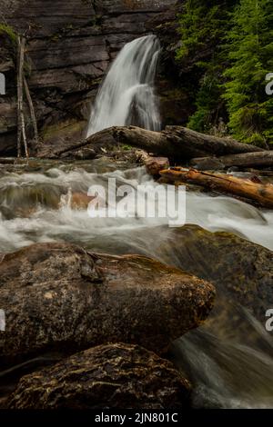 Baring Creek scende lungo le cascate di Baring prima di dirigersi verso il lago St Marys nel Glacier National Park Foto Stock