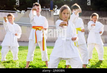 Tweenagers padroneggiare Karate si muove sul prato verde nella scuola di sport Foto Stock