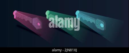 Set di chiavi crittografiche Illustrazione Vettoriale