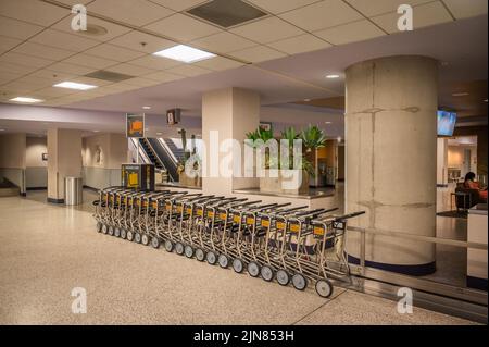 Carrette per bagagli all'aeroporto di Tucson. Foto Stock