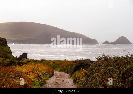 Strada per Dunquin Harbor e le Isole Blasket sulla Dingle Peninsuala in Irlanda. Foto Stock