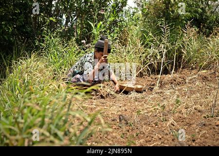 Yuliana Fuka, un villager, che lavora nel suo campo agricolo nel villaggio di Fatumnasi, Timor Centrale Sud, Nusa Tenggara Est, Indonesia. Foto Stock