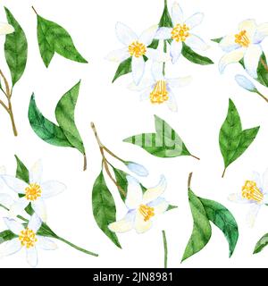 Acquerello disegno a mano senza cuciture con fiori bianchi di limone di agrumi su piccoli rami con foglie verdi. Elegante pastello sfondo floreale estate, meridionale invito matrimonio carta avvolgente tessuto Foto Stock