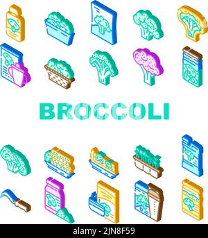 broccoli vegetali verde cibo icone set vettore Illustrazione Vettoriale