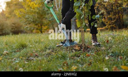 Primo piano irriconoscibile uomo eco attivista volontario di progetto sociale a sostegno della natura piantando albero seppellendo giovani piantine in terra utilizzando pala Foto Stock