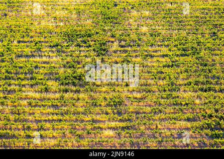 Pierroux, Roussillon e Luberon vista della Terra dall'alto da una mongolfiera la mattina presto Foto Stock