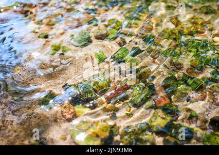 Ciottoli del fiume a Vecsautini Springs, Silva, parrocchia di Launkalnes, contea di Smiltenes, Lettonia Foto Stock