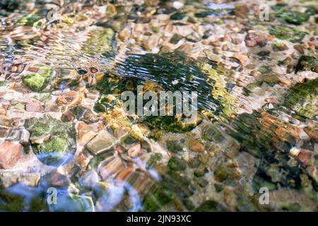 Ciottoli del fiume a Vecsautini Springs, Silva, parrocchia di Launkalnes, contea di Smiltenes, Lettonia Foto Stock