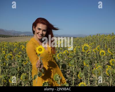 Felicissima donna con capelli volanti guardando la macchina fotografica con sorriso mentre tiene girasole giallo in campo il giorno d'estate in campagna Foto Stock