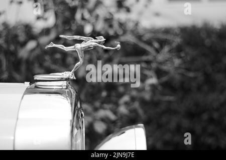 Primo piano del fregio Buick cromato vintage 1940s sulla parte superiore del cofano. Foto Stock