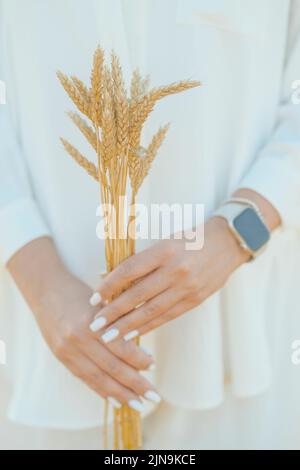 Le mani femminili tengono un piccolo mazzo di punte di grano d'oro Foto Stock