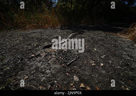 Il letto secco a Heronry Pond in Wanstead Park , Londra orientale. L'ufficio MET ha emesso un avvertimento color ambra per il calore estremo che copre quattro giorni da giovedì a domenica per alcune parti dell'Inghilterra e del Galles come nuovi telai ad onda calda. Data foto: Mercoledì 10 agosto 2022. Foto Stock