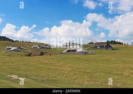 Capanne e mucche di Herdsmens sull'altopiano della Grande montagna in Slovenia, nelle Alpi Kamnik Savinja Foto Stock