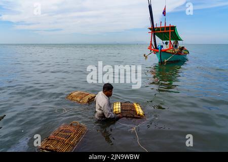Cambogia. La stazione balneare di KEP. Provincia di Krong KEP. Mercato granchio. I granchi sono tenuti in cesti sommersi per tenerli freschi Foto Stock