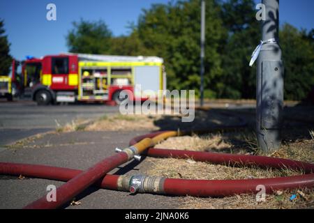 London Fire Brigade si occupa delle conseguenze di un incendio di erba a Rainham, Londra orientale. L'ufficio MET ha emesso un avvertimento color ambra per il calore estremo che copre quattro giorni da giovedì a domenica per alcune parti dell'Inghilterra e del Galles come nuovi telai ad onda calda. Data foto: Mercoledì 10 agosto 2022. Foto Stock