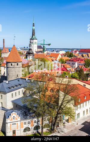 Guardando fuori dalla Città alta sopra i rooves della città vecchia di Tallinn, la città capitale dell'Estonia Foto Stock