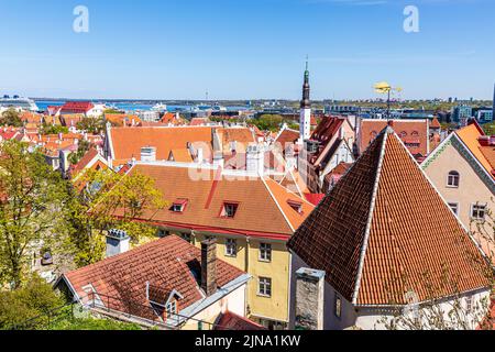 Guardando fuori dalla Città alta sopra i rooves della città vecchia di Tallinn, la città capitale dell'Estonia Foto Stock