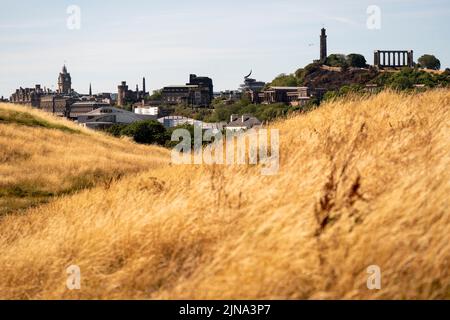 Grandi aree di erba sono diventato giallo a causa delle condizioni secche in Holyrood Park, Edimburgo. Lo Scottish Fire and Rescue Service (SFRS) ha issuto un rischio 'molto alto' di incendi selvatici allerta in tutta la Scozia meridionale e orientale con lunghi e secchi incantesimi di sole attesi nei prossimi giorni. Data foto: Mercoledì 10 agosto 2022. Foto Stock