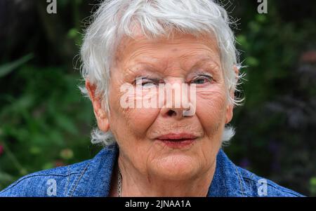 Dame Judi Dench, attrice inglese, Chelsea Flower Show, primo piano ritratto colpo testa, Londra, Inghilterra Foto Stock