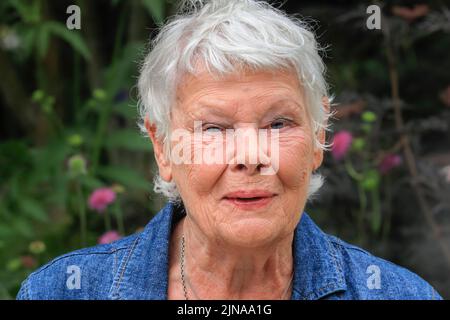 Dame Judi Dench, attrice inglese, Chelsea Flower Show, primo piano ritratto colpo testa, Londra, Inghilterra Foto Stock