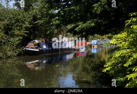 Barche a remi ormeggiate Stort River Burnt Mill Harlow Essex Foto Stock