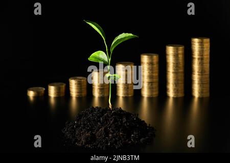 Germoglio verde nel terreno sullo sfondo di pile di monete Foto Stock