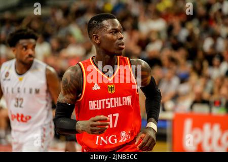 Dennis Schroder in Germania (17) ha rappresentato in azione durante una partita di basket amichevole in vista dei campionati europei tra la nazionale belga "i leoni belgi" e la Germania, mercoledì 10 agosto 2022, ad Hasselt. BELGA FOTO JILL DELSAUX Foto Stock