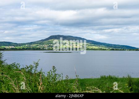 Vista panoramica della riserva Wildfowl di Inch Levels su Lough Swilly Foto Stock