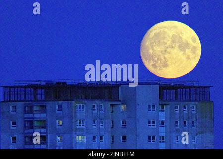 Glasgow, Scozia, Regno Unito 10th agosto 2022. UK Meteo: Tempo soleggiato ha visto una quasi piena luna di sturgeon yje ultima super luna dell'anno salire sopra le torri del consiglio di Knightswood con la tenuta di castlemilk in lontananza. Credit Gerard Ferry/Alamy Live News Foto Stock