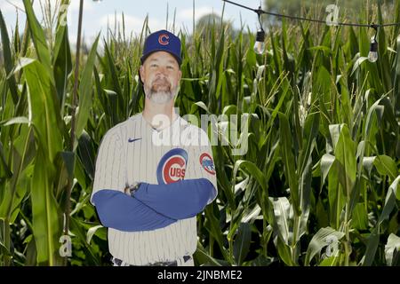 Dyersville, Stati Uniti. 10th ago 2022. Un poster a grandezza naturale del manager dei Chicago Cubs David Ross si trova nel campo di mais per la seconda partita annuale di baseball dei Major League tra i Cincinnati Reds e i Chicago Cubs a Dyersville, Iowa, mercoledì 10 agosto 2022. Foto di Mark Black/UPI Credit: UPI/Alamy Live News Foto Stock