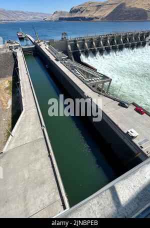 John Day Lock & Dam si trova a 216 miglia a monte dalla foce del fiume Columbia vicino alla città di Rufus, Ore. dedicato nel 1968, la costruzione di John Day Lock & Dam è stato completato nel 1971. Il progetto, che consiste in un blocco di navigazione, un canale di fuoriuscita, un impianto di alimentazione e di passaggio dei pesci, è autorizzato per la navigazione e la generazione di energia idroelettrica. Lungo il lago Umatilla e il fiume John Day sono disponibili varie strutture ricreative. Foto Stock