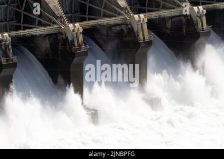 John Day Lock & Dam si trova a 216 miglia a monte dalla foce del fiume Columbia vicino alla città di Rufus, Ore. dedicato nel 1968, la costruzione di John Day Lock & Dam è stato completato nel 1971. Il progetto, che consiste in un blocco di navigazione, un canale di fuoriuscita, un impianto di alimentazione e di passaggio dei pesci, è autorizzato per la navigazione e la generazione di energia idroelettrica. Lungo il lago Umatilla e il fiume John Day sono disponibili varie strutture ricreative. Foto Stock