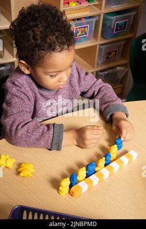 Educazione Preschool cura del bambino 4 anni di età ragazzo allineando gli orsi colorati nel modello dopo aver fatto il modello con cubi di plastica colorata Foto Stock