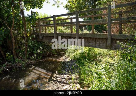 Il Tamigi nel Gloucestershire e nel Wiltshire corrono a secco, in alcuni punti rimasti solo pochi pools d'acqua. Il calore del sole intenso ha fatto asciugare il Tamigi. In luoghi la natura ha iniziato a recuperare il letto secco del fiume. Il Thames Path attraversa un ponte pedonale su ciò che rimane del Tamigi vicino a Somerford Keynes. Il Tamigi tra Ewen e Ashton Keynes, 14 immagini disponibili. Credito: Stephen Bell/Alamy Foto Stock