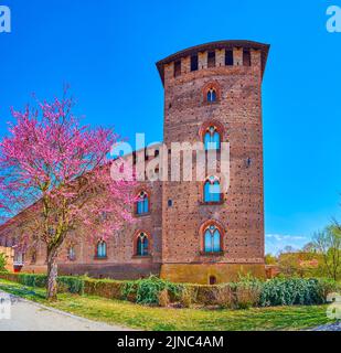 Castello medievale di Visconti e alberi in fiore di Cornus Florida nel suo parco, Pavia, Italia Foto Stock