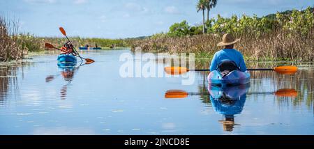 I kayak si godono una bella giornata estiva sul fiume Guana a Ponte Vedra Beach, Florida. (USA) Foto Stock